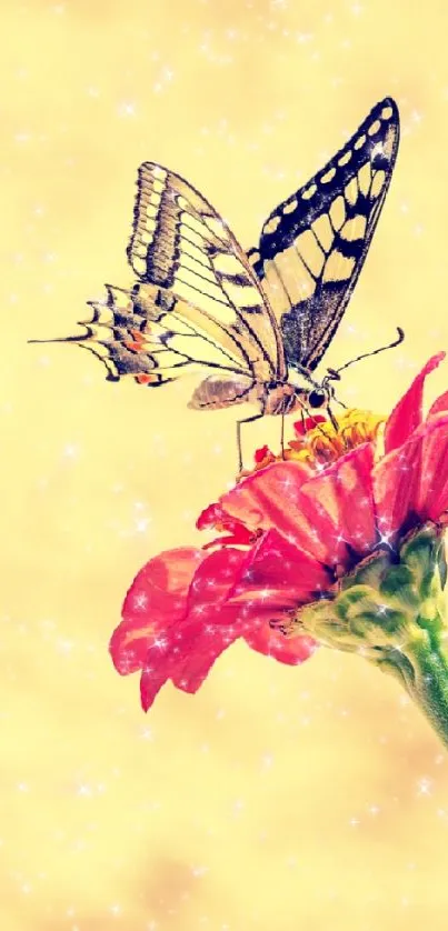 Butterfly resting on a red flower against a yellow backdrop.