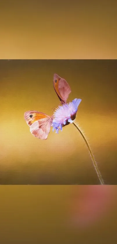 Butterfly perched on a flower with a golden brown background.