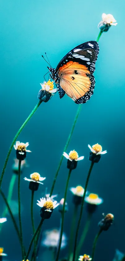 Vibrant butterfly resting on a flower with a turquoise backdrop.