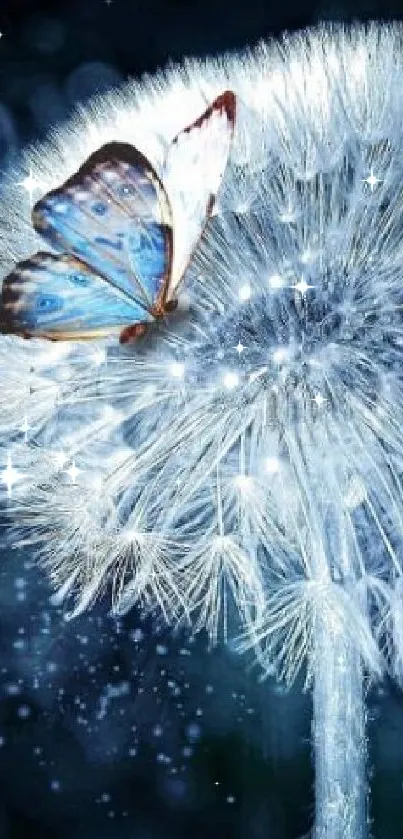 Butterfly resting on a frosty dandelion with a mystical blue background.