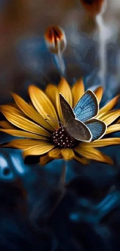 Butterfly on a vibrant yellow flower with dark blue background.