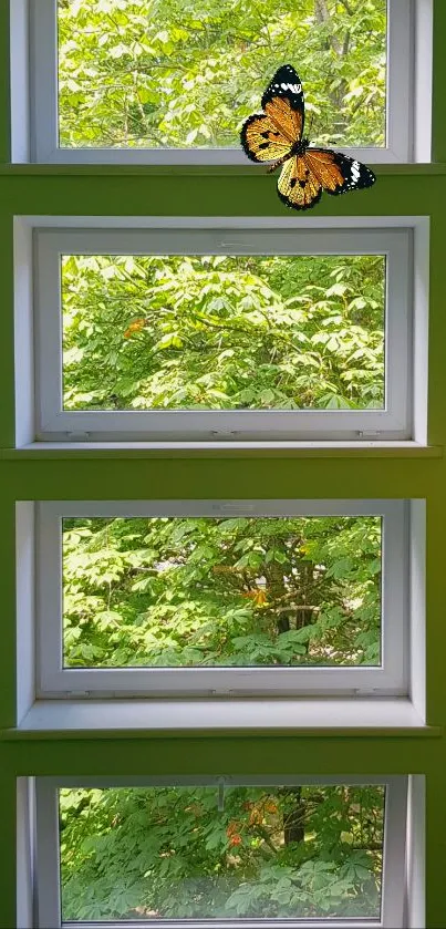 Butterfly resting on colorful green windowsills with lush nature view.