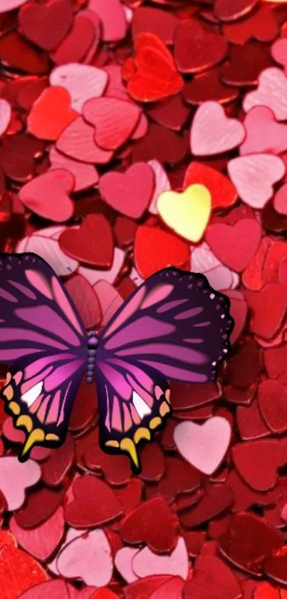 Purple butterfly on a background of red and pink hearts.