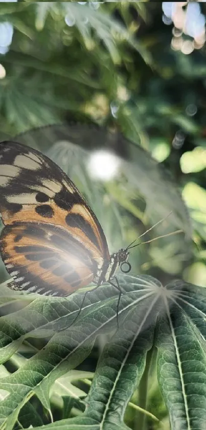 Butterfly rests on vivid green leaf, nature-themed mobile wallpaper.