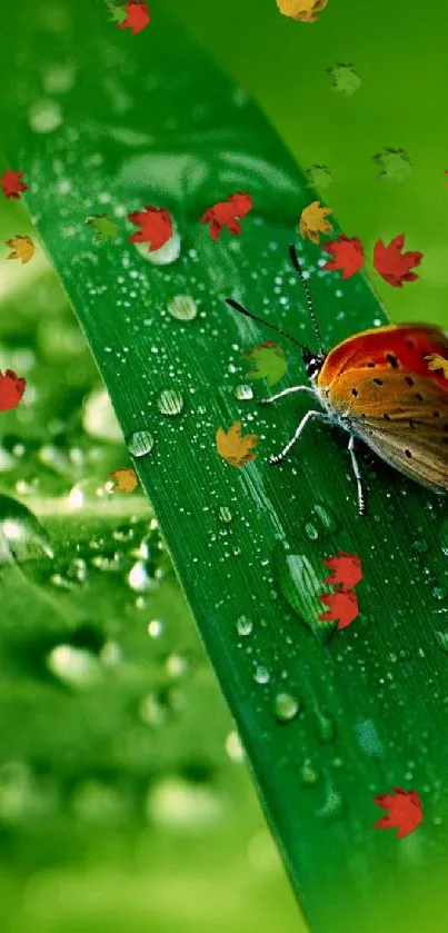 Butterfly resting on a dewy green leaf, vibrant and detailed.