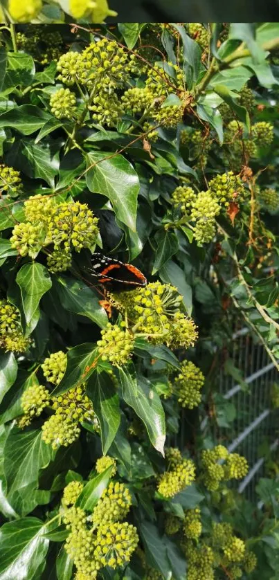 Butterfly perched amidst green and yellow foliage in a garden setting.