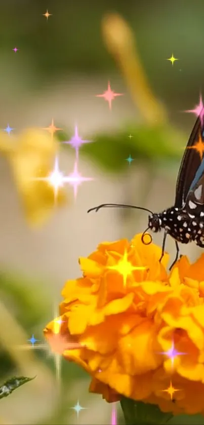 Butterfly on marigold flower with sparkling effect.