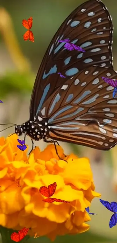 Butterfly resting on vibrant marigold with colorful butterflies fluttering around.