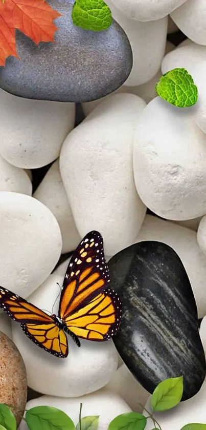 Orange butterfly on white pebbles and leaves.