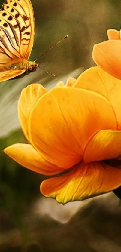 Orange butterfly rests on vibrant flower.