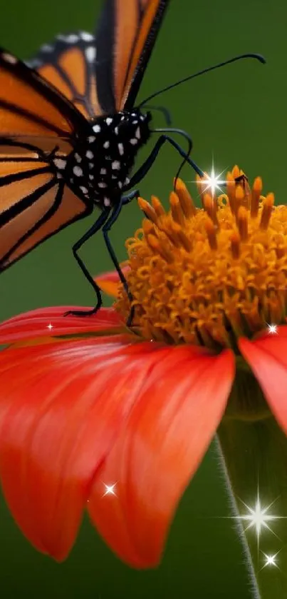 Butterfly resting on vibrant orange flower against a green background.