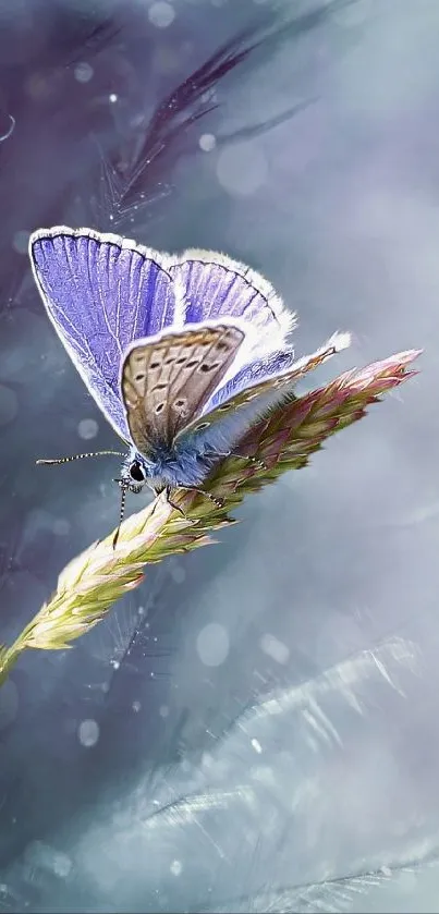 Delicate butterfly sitting on colorful plant with pastel background.