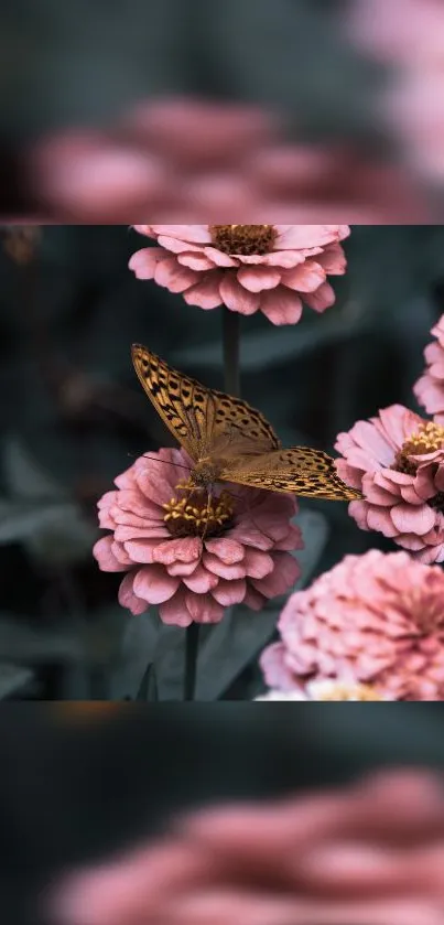 Butterfly perched on pink flowers with a serene background.