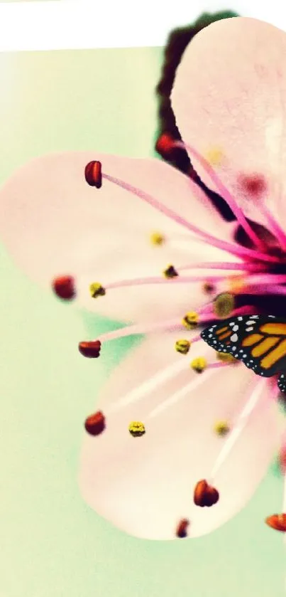 A butterfly perched on a vibrant pink flower with a soft green background.