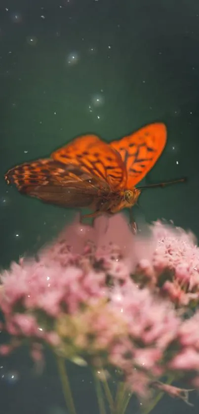 Orange butterfly resting on pink flower with starry background.