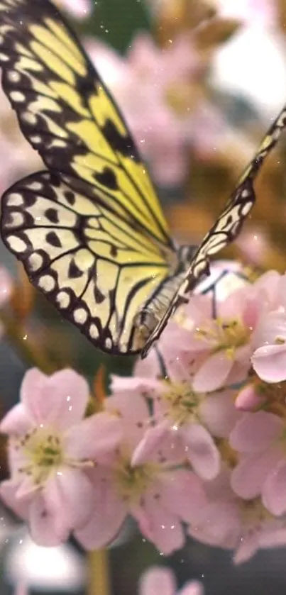 Butterfly perched on pink blossoms, captured beautifully.