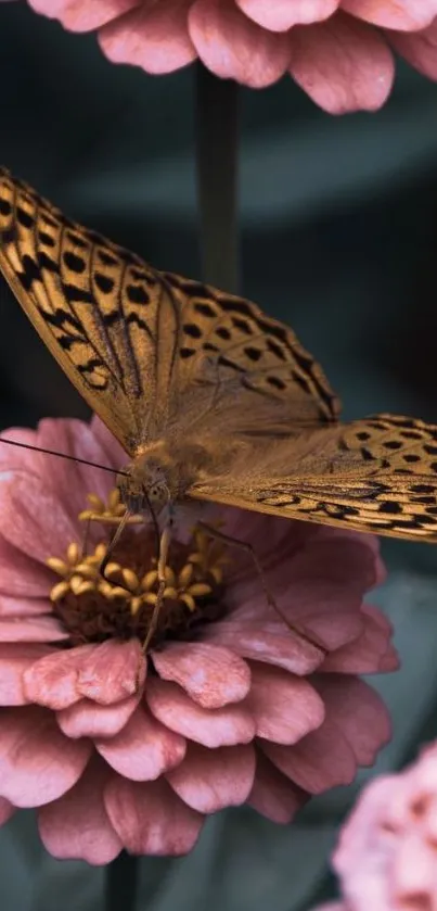 A butterfly perched on a blooming pink flower with soft green background.