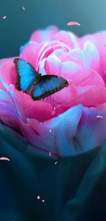 Butterfly resting on a vibrant pink flower with a dark blue background.