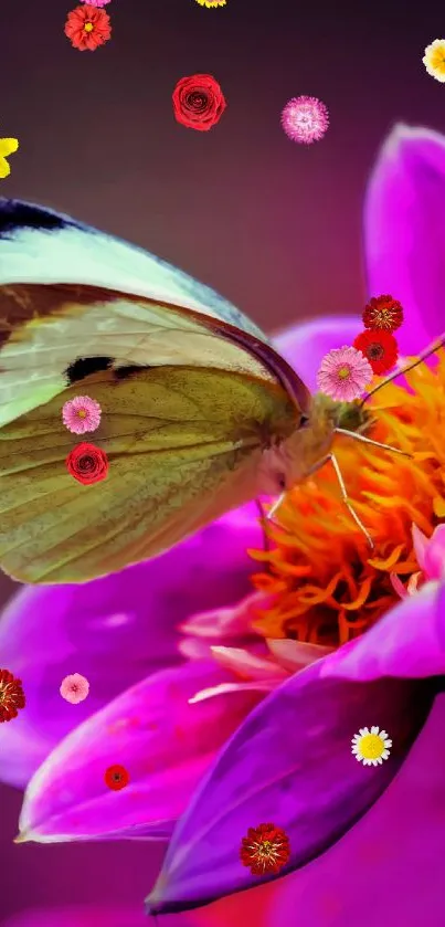 Butterfly sitting on a vibrant pink flower.