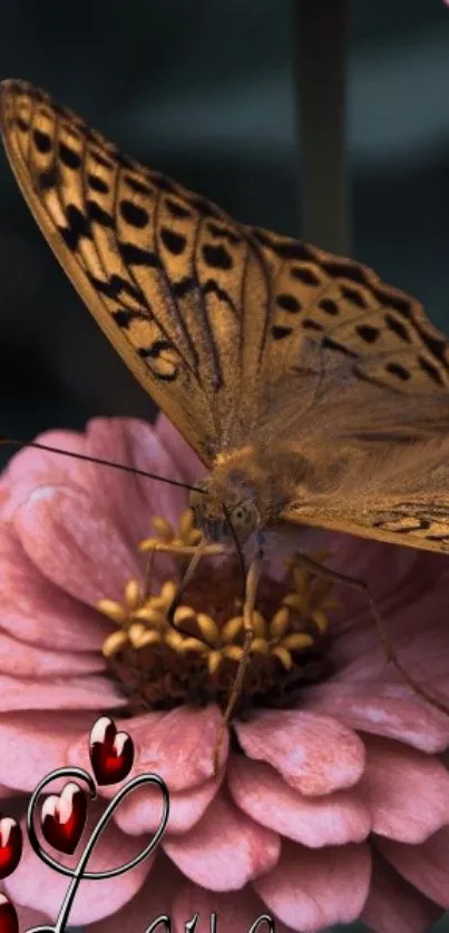 Butterfly perched on a pink flower with love text.