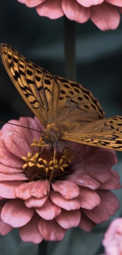 Butterfly resting on a pink flower in close-up view.