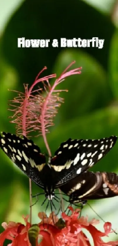 Butterfly perched on a pink flower against lush green leaves.