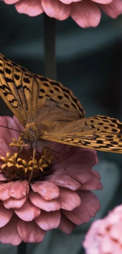 Graceful butterfly resting on pink flowers, perfect for mobile wallpaper.