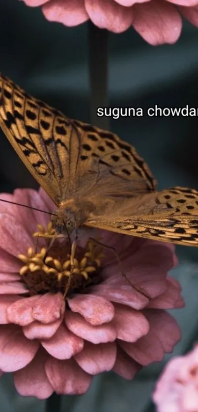 Butterfly resting on pink flowers in a serene nature wallpaper.