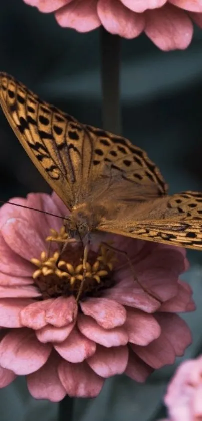 Butterfly resting on pink flowers, nature mobile wallpaper.