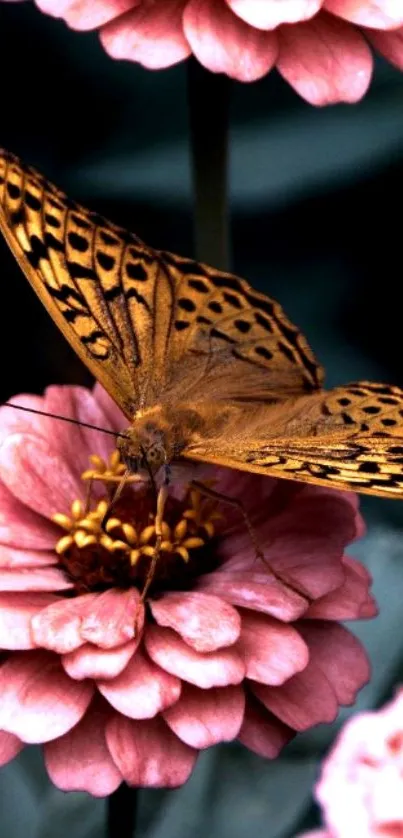 Butterfly resting on pink flowers mobile wallpaper.