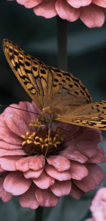 Butterfly resting on delicate pink flowers with a dark green background.