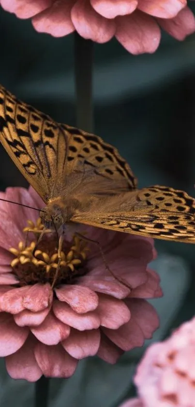 Butterfly resting on pink flowers in garden setting.