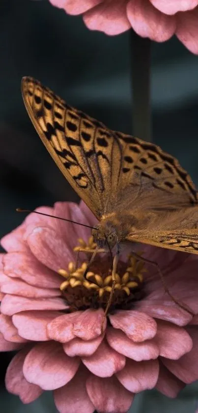 Butterfly perched on pink flowers with a serene background.