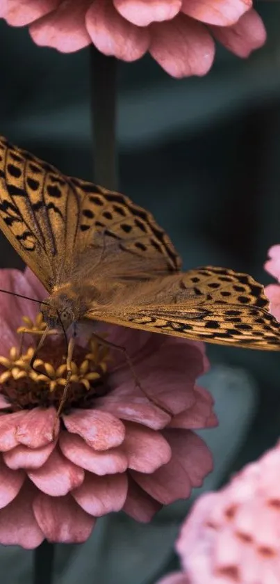 Butterfly landing on pink flowers in a serene wallpaper.