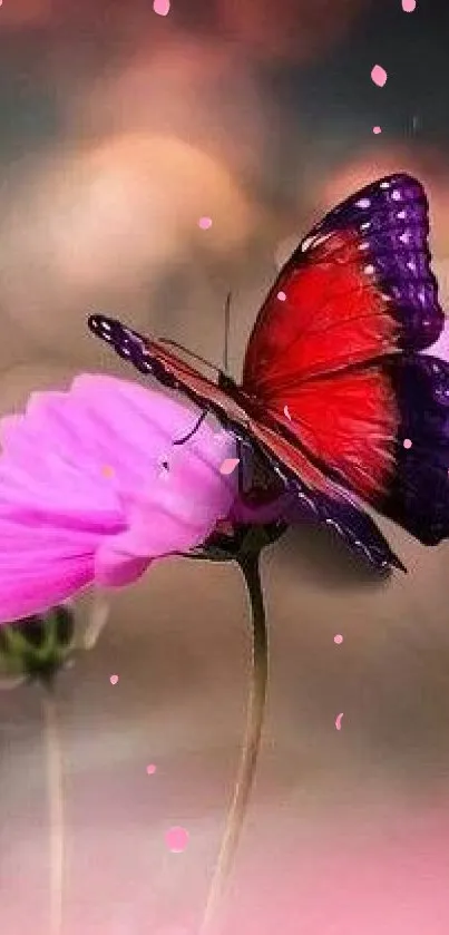 Vibrant red butterfly resting on pink flowers.