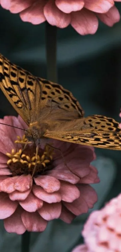 A detailed butterfly resting on soft pink flowers.