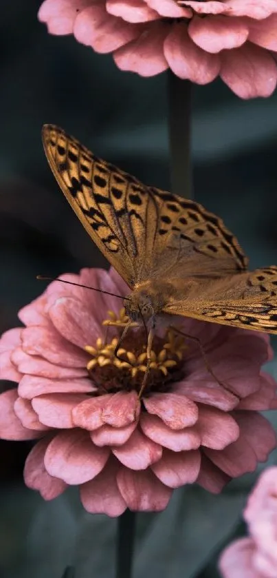 Butterfly rests on vibrant pink flowers, creating a serene and colorful scene.