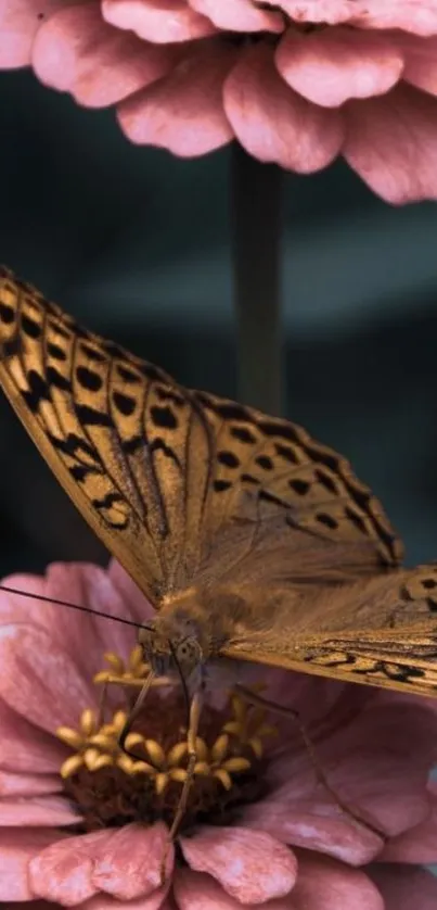 Close-up of a butterfly on soft pink flowers.