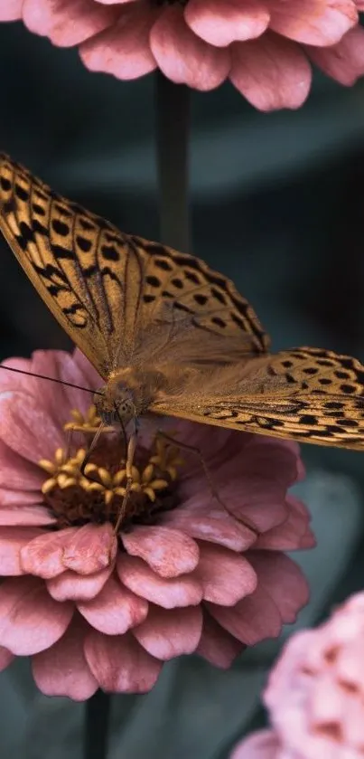 Butterfly perched on soft pink flowers in nature wallpaper.