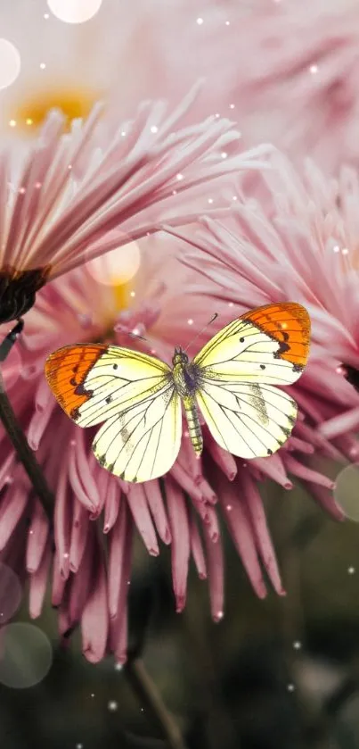 Butterfly on pink flowers with bokeh effect.