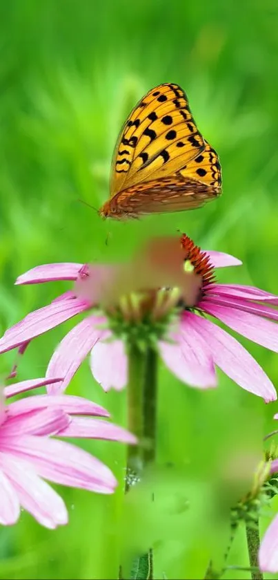 Vibrant butterfly on pink flowers with a green backdrop.