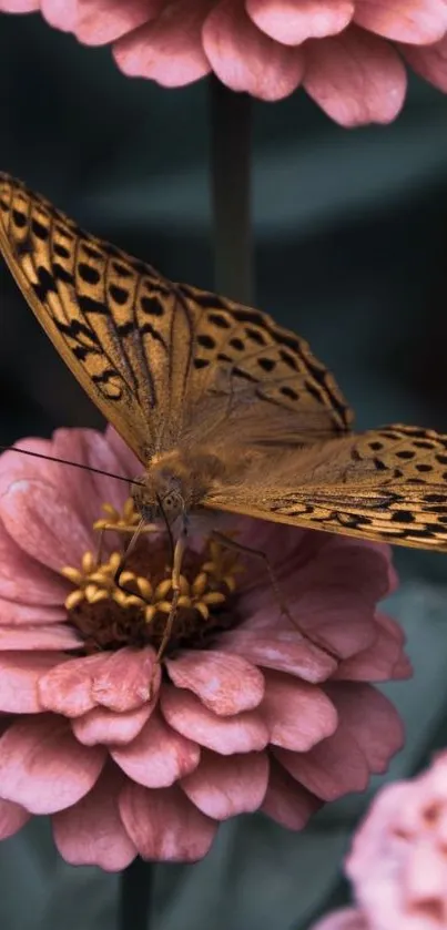 Butterfly resting on pink flowers, perfect for nature wallpaper.