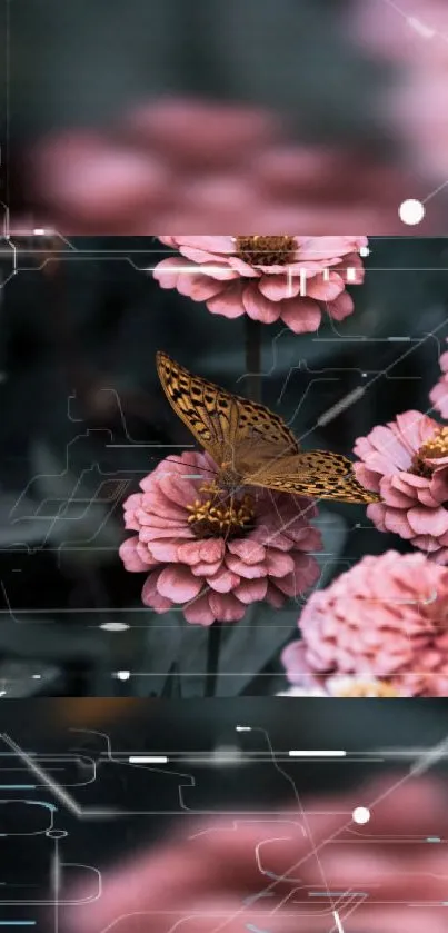 Butterfly on pink zinnia flowers with a digital overlay in a stylish wallpaper.