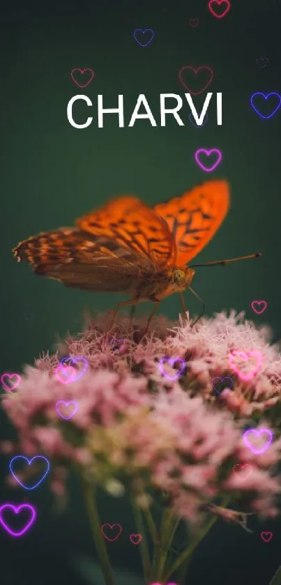 Orange butterfly on pink flowers with dark green background.