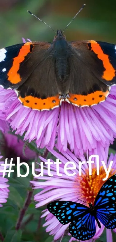 Butterfly perched on vibrant pink flowers with greenery.
