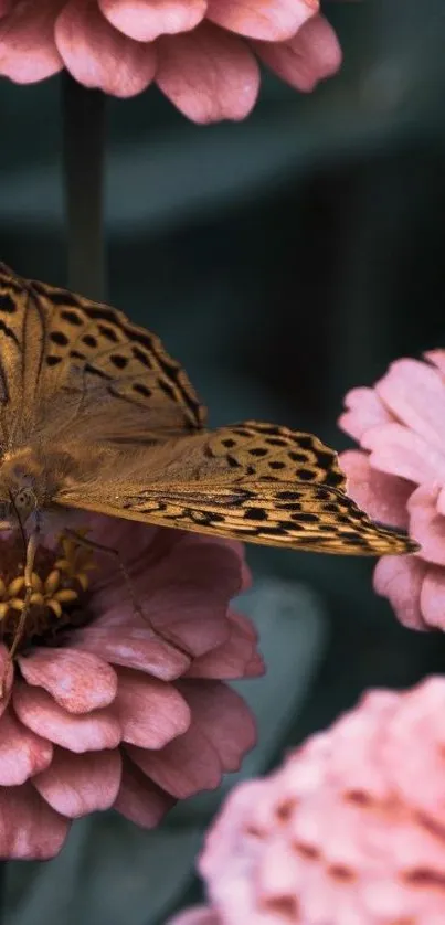 Butterfly resting on pink flowers with lush background.