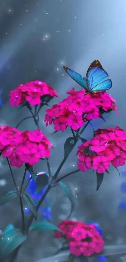 Blue butterfly resting on pink flowers mobile wallpaper.