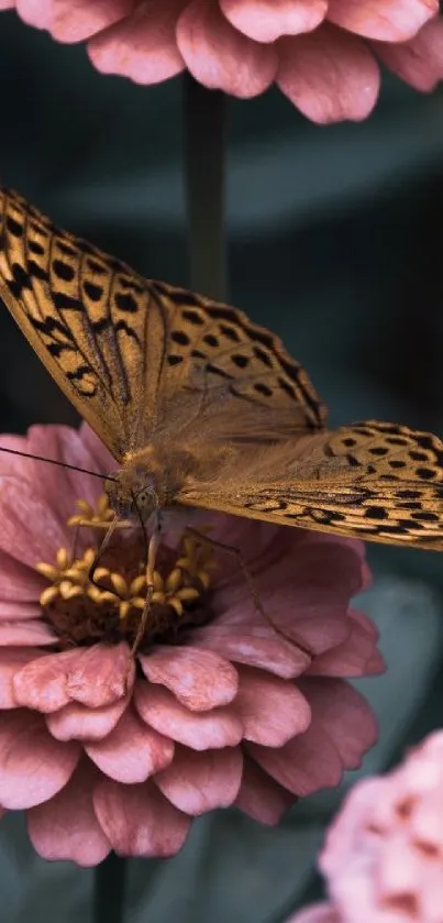 Butterfly resting on pink flowers, creating a serene and beautiful mobile wallpaper.