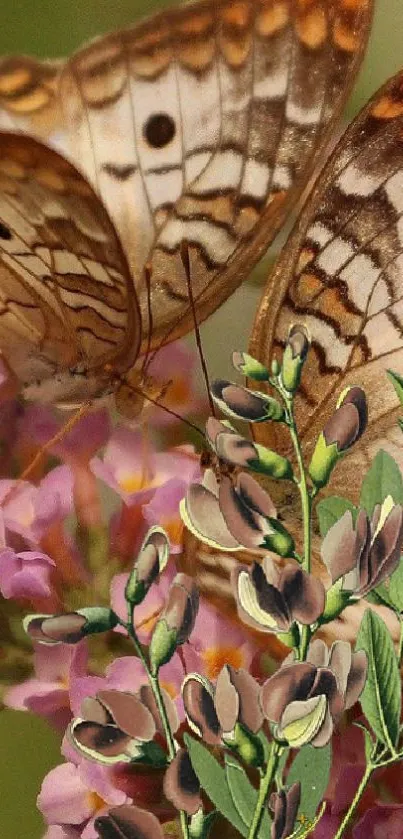 A butterfly perched on pink flowers with detailed patterns and green leaves.