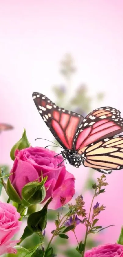 Vibrant butterfly on pink roses with soft pastel background wallpaper.